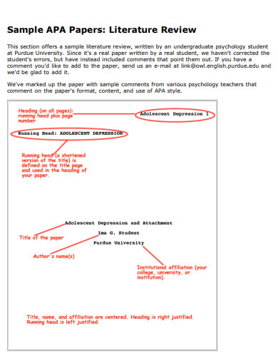 19+ APA Literature Review Examples in Word, Google Docs, PDF | Examples