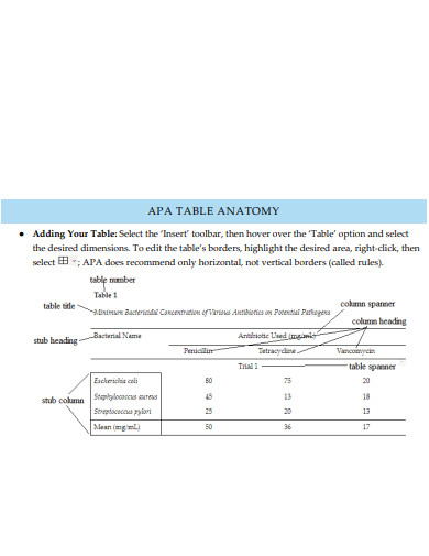 APA Table Anatomy