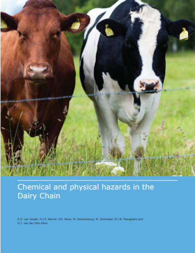 chemical and physical hazards in the dairy chain