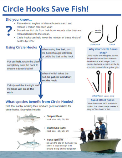 circle hooks save fish example