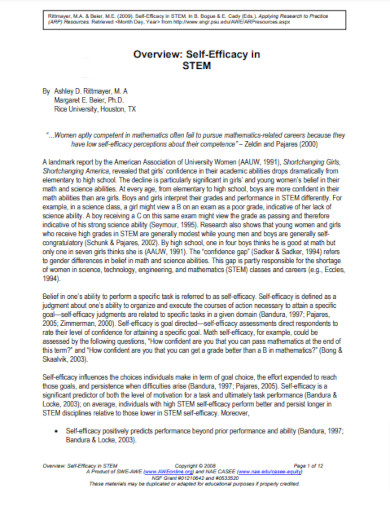 overview self efficacy in stem
