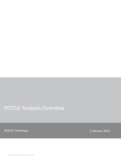pestle analysis overview example