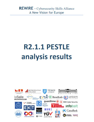 pestle analysis results example