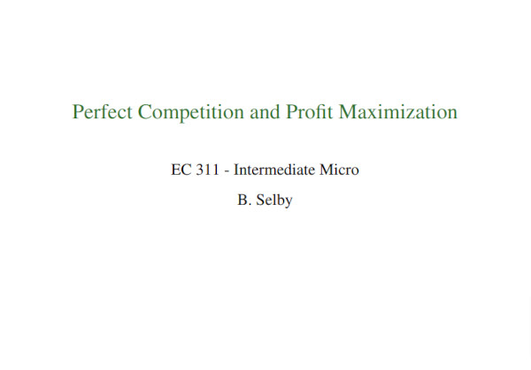 perfect competition and profit maximization