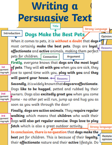 persuasive text writing
