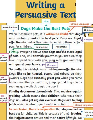 Persuasive Text Writing