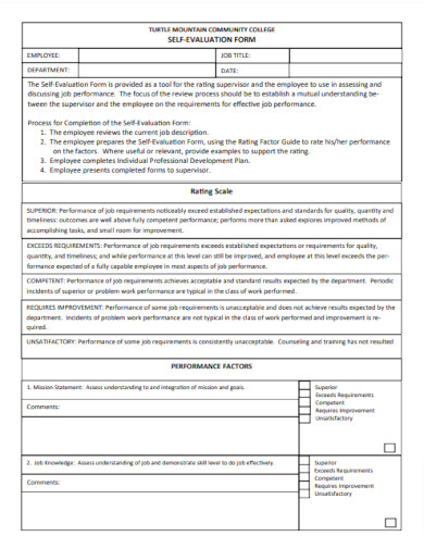 self evaluation form example