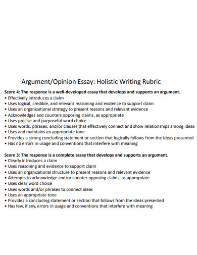 counter argument opinion essay