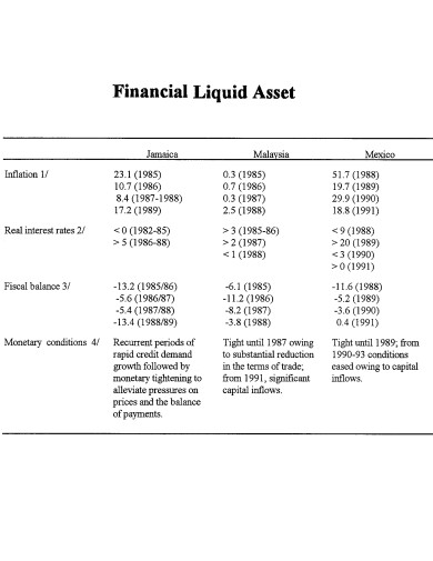 25+ Liquid Assets Examples in PDF | Examples