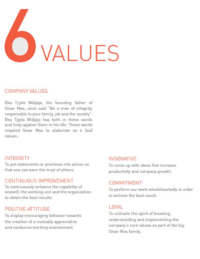 6 company values example