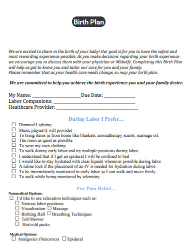 birth plan in pdf