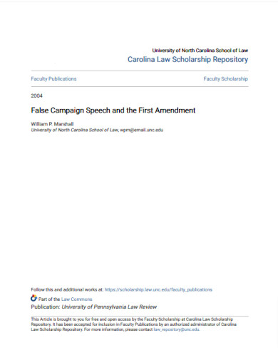 false campaign speech and the first amendment