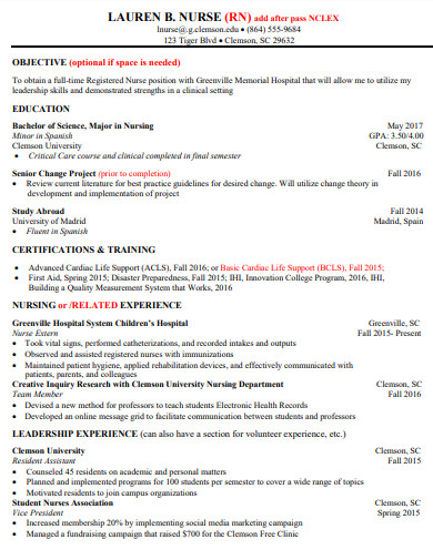 general nursing resume example
