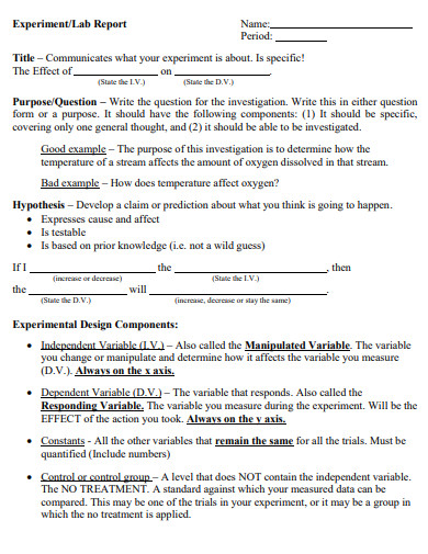 Lab Report Experiment