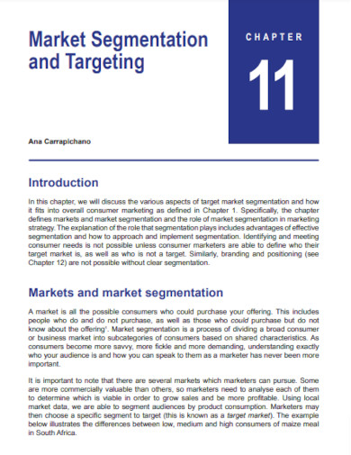 market segmentation and targeting example