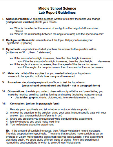 Lab Report Example Biology College 