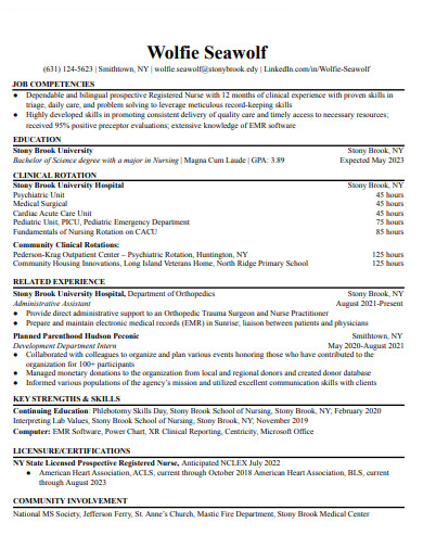 nursing resume format 