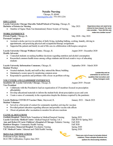 professional nursing resume example