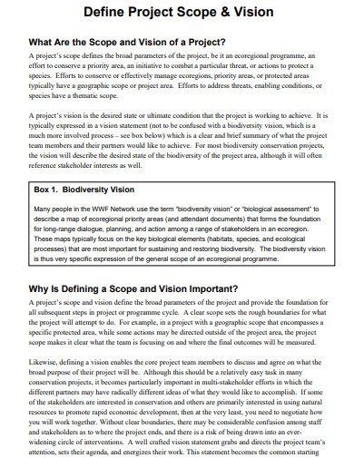 project scope and vision example