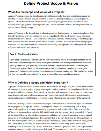 30+ Project Scope Examples in Word Google Docs Apple Pages PDF | Examples