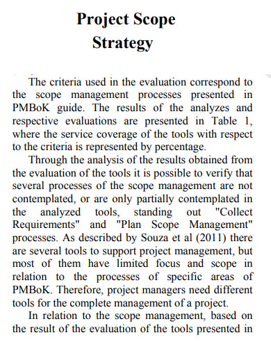 project scope strategy example