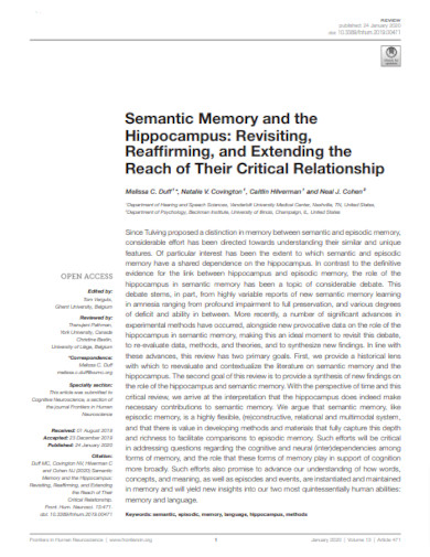 semantic memory and the hippocampus example