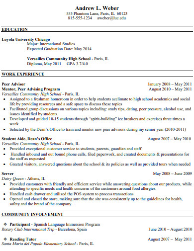 student resume format