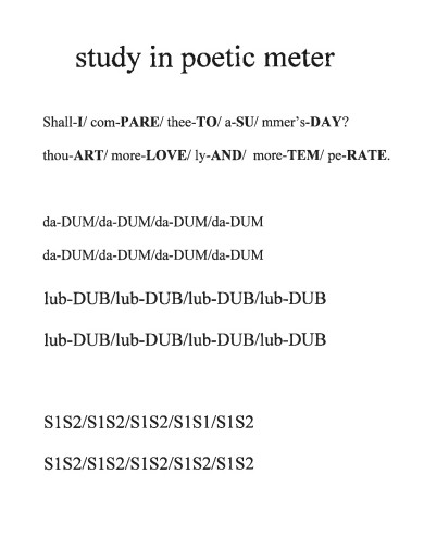 sudy in meter poem example