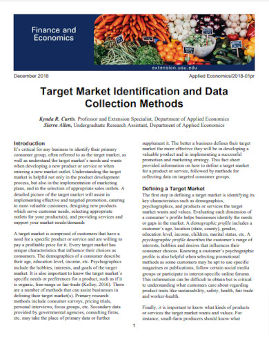target market identification and data collection methods