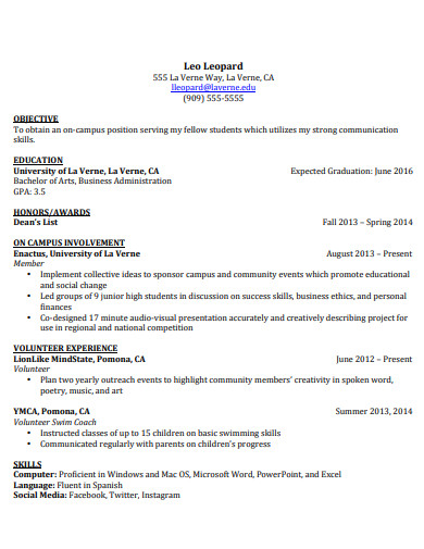 undergraduate student resume