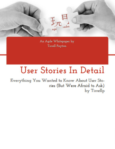 user stories in detail example