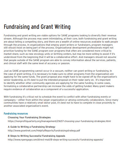 Fundraising And Grant Writing Example