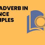 Adverb in Sentence Examples