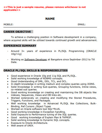 SQL 2 Year Resume Example