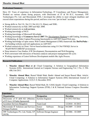 SQL Business Analyst Resume Example