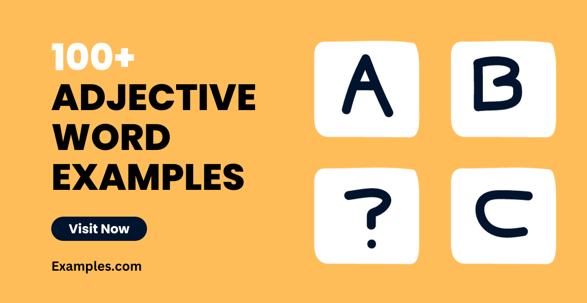 Adjective Word Examples