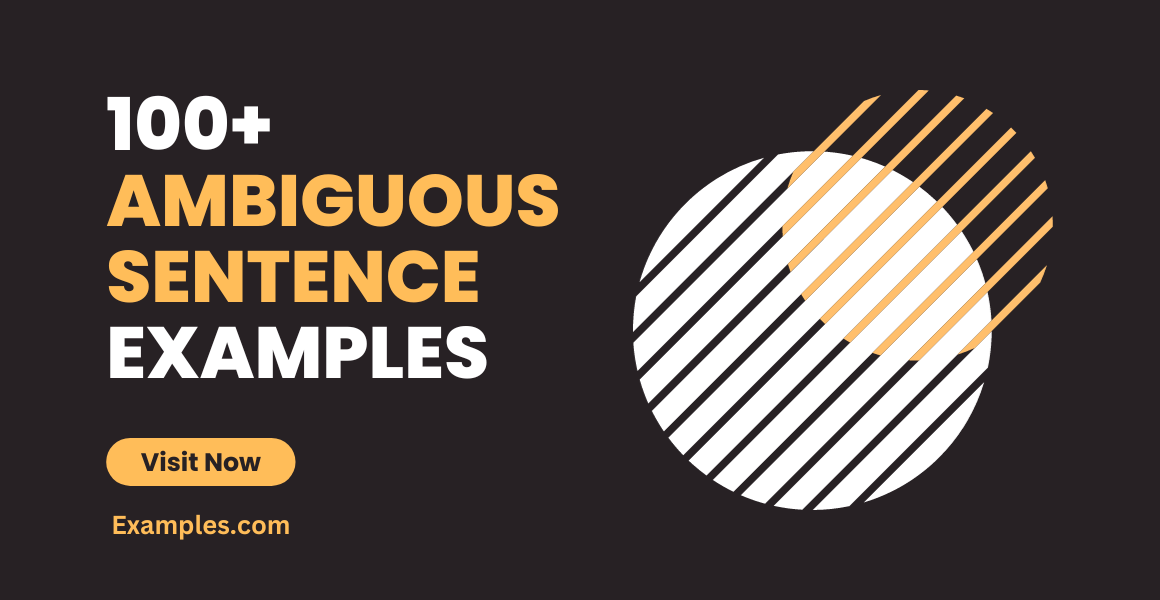 Ambiguous Sentence Examples