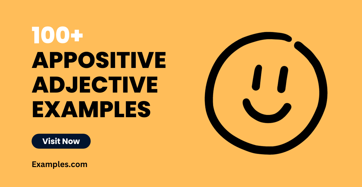 Appositive Adjective Examples