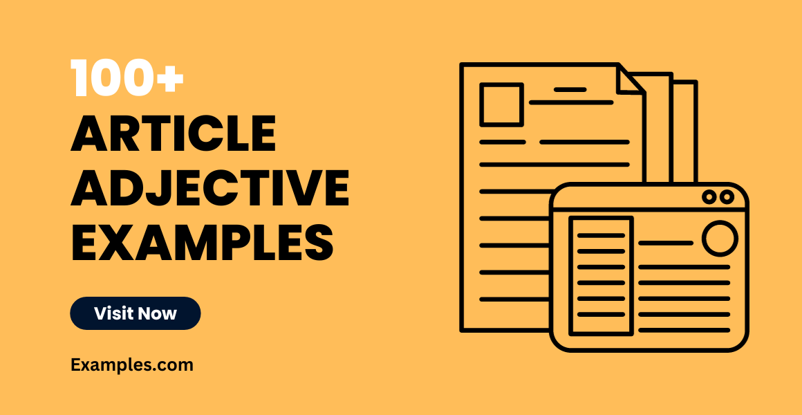 Article Adjective Examples