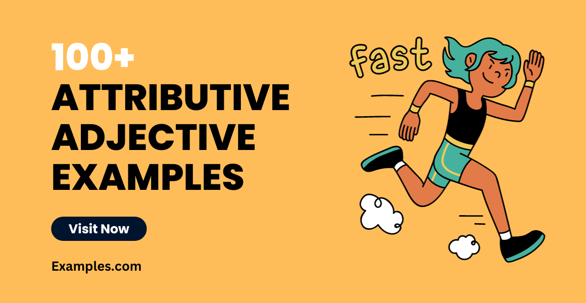 Attributive Adjective Examples