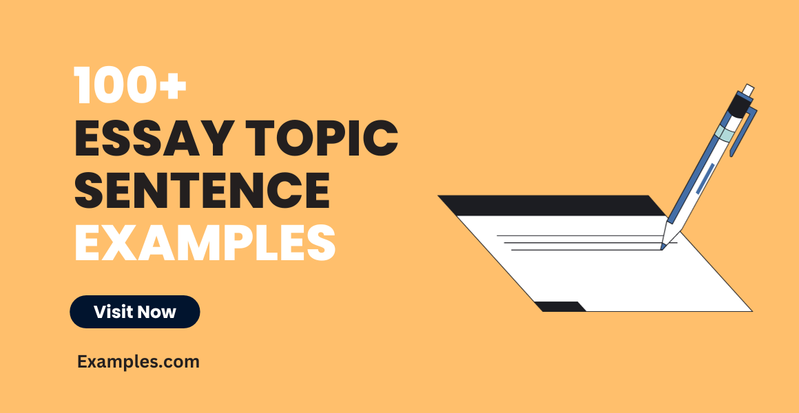 Essay Topic Sentence Examples 1