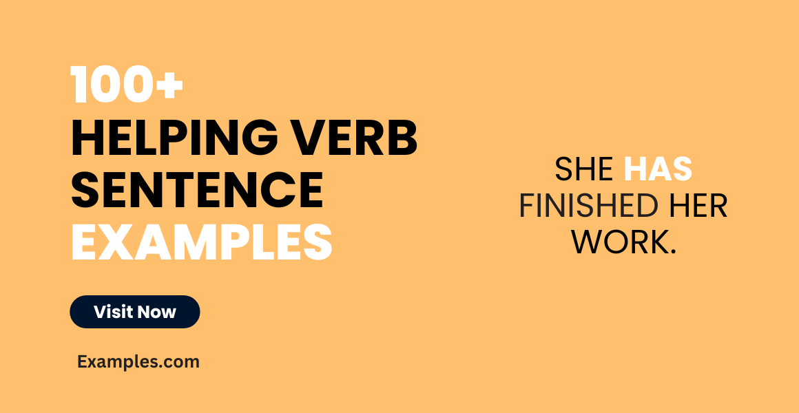 Helping Verb Sentence Examples 1