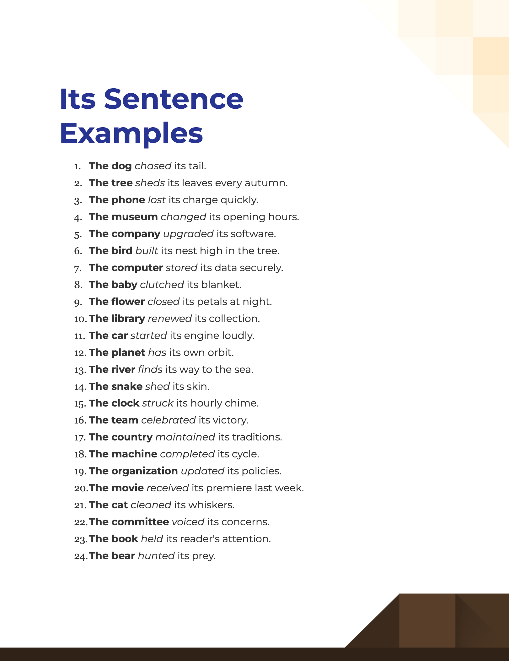 How To Use See In A Sentence