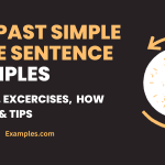 Past Simple Tense Sentence Examples