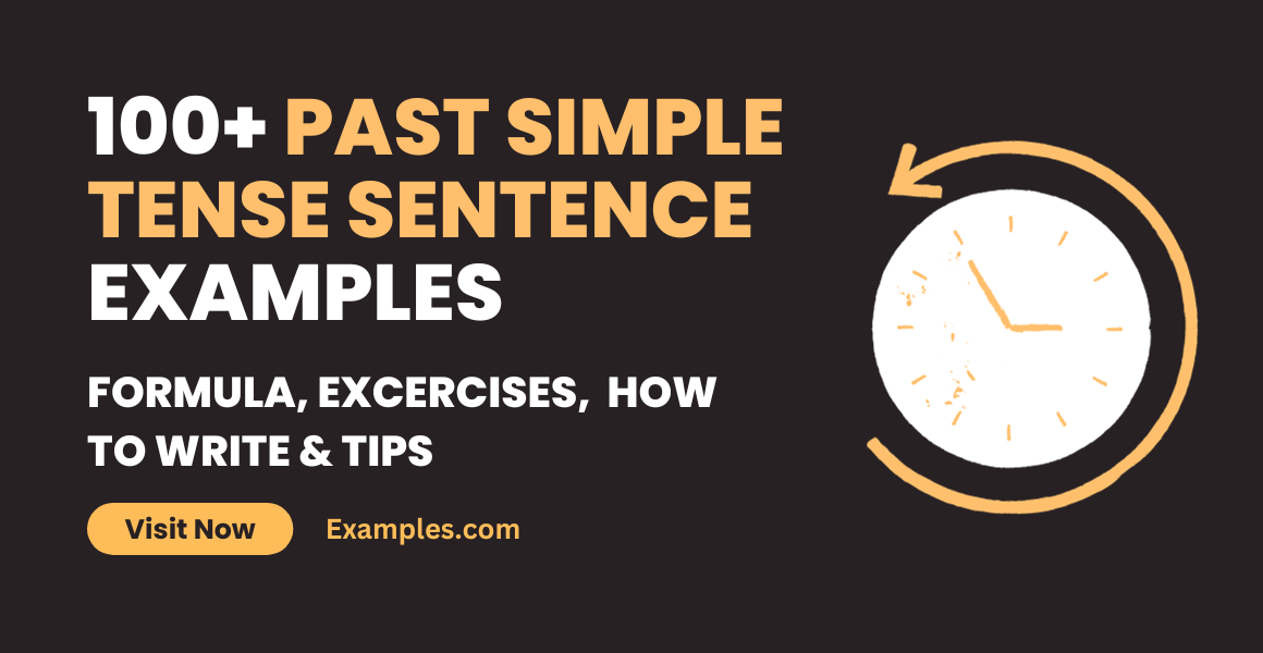 Past Simple Tense Sentence Examples 1