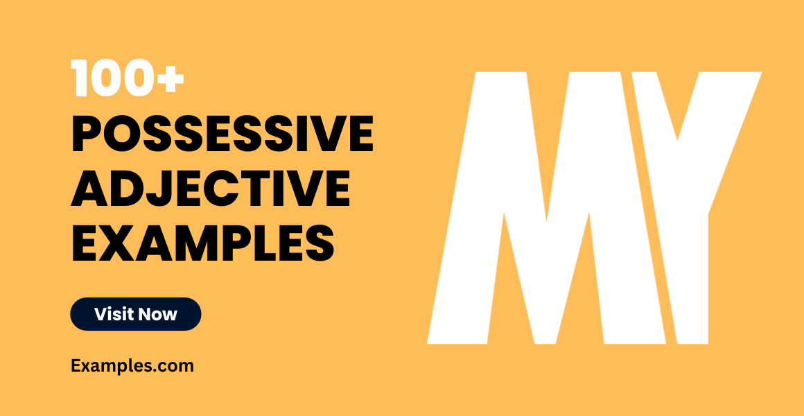 Possessive Adjective Examples