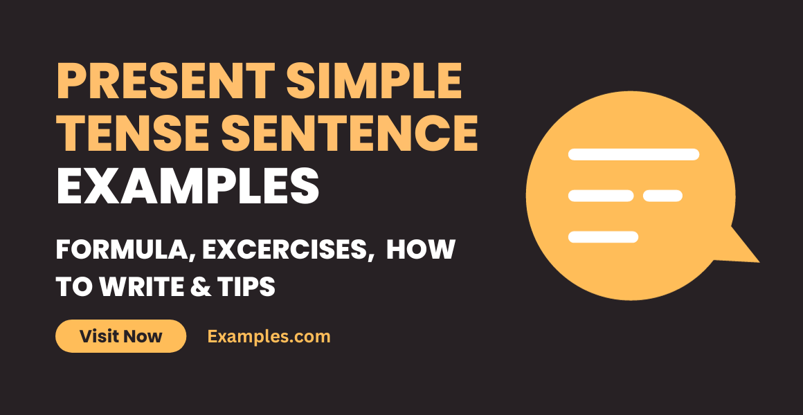 Present Simple Tense Sentence Examples