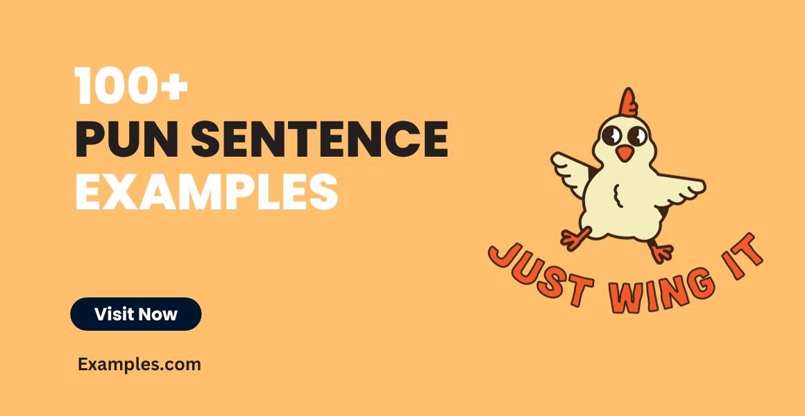 Pun Sentence Examples