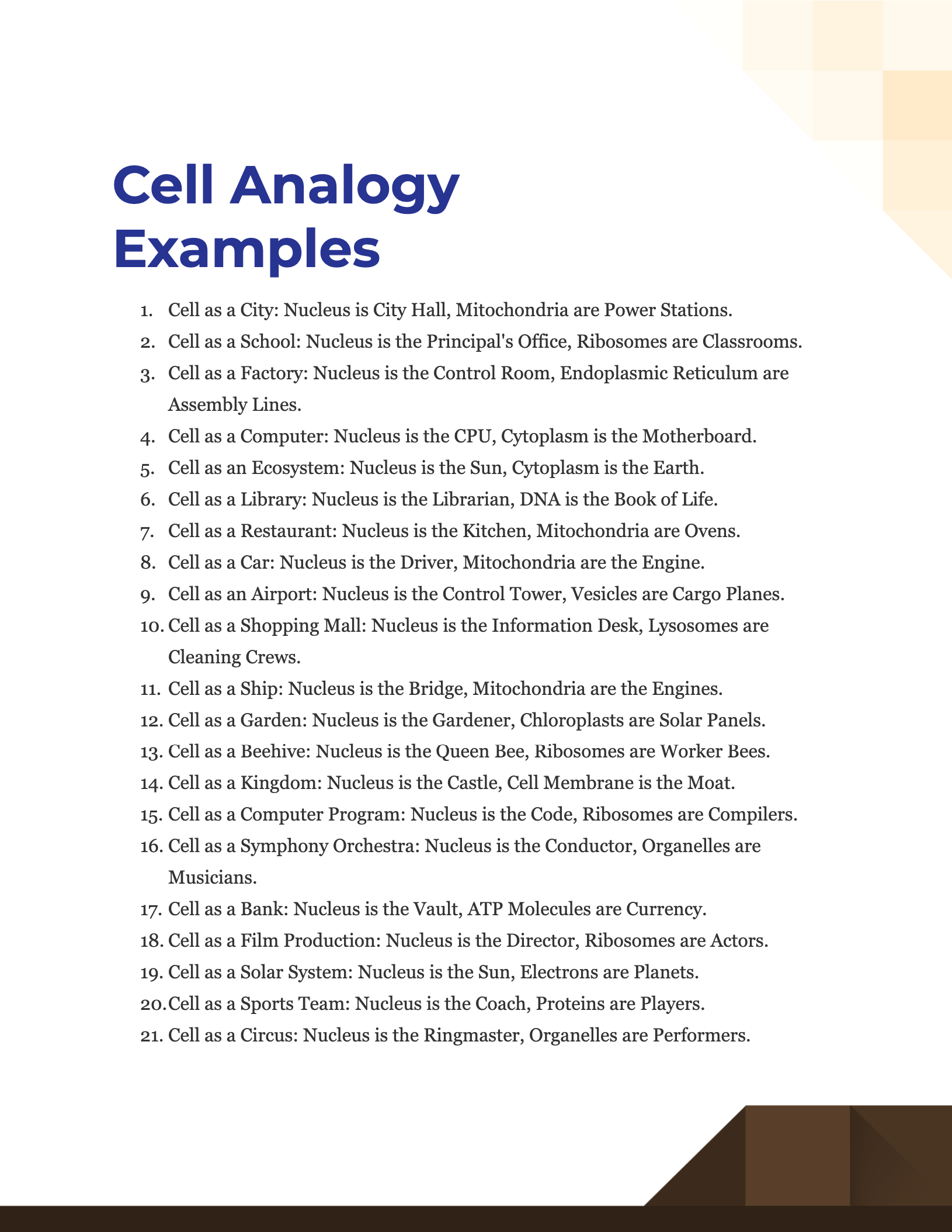 Cell Analogy Examples