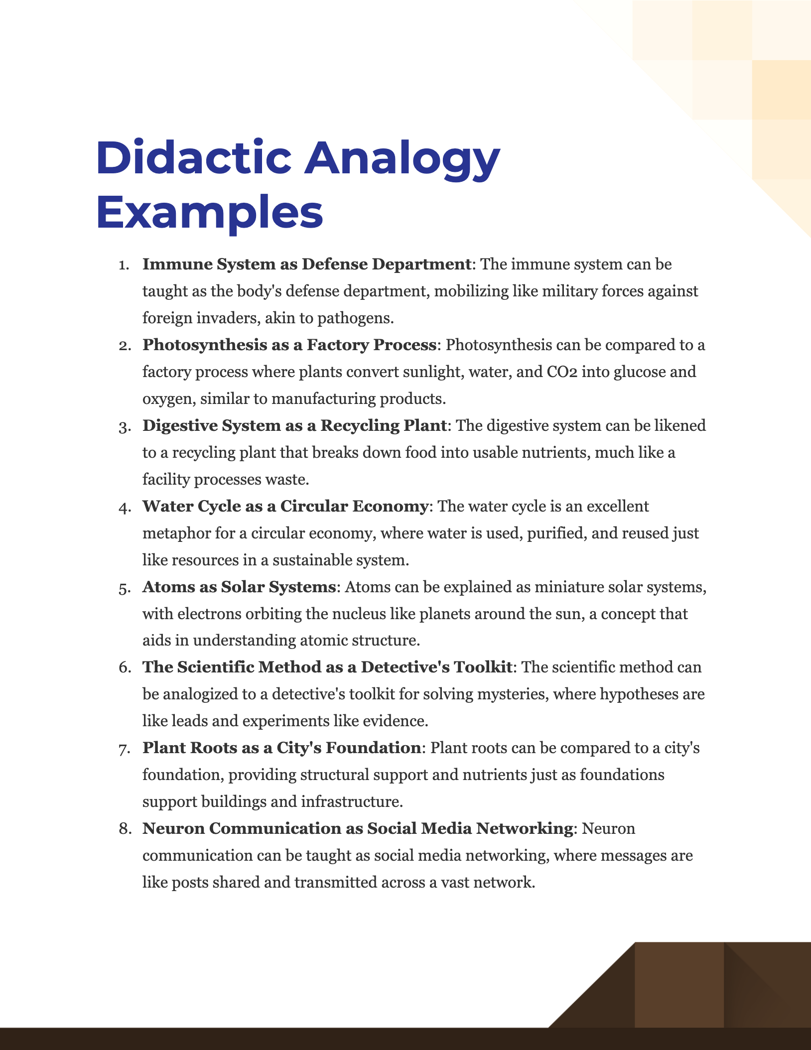 Didactic Analogy Examples